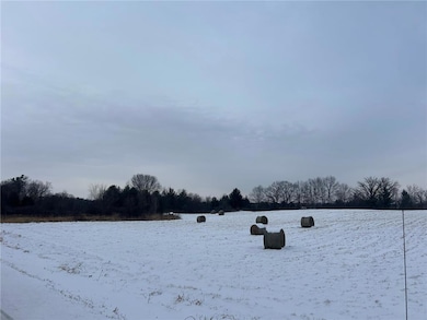 XXX 135th Avenue Ave, Turtle Lake, WI 54889 - photo 4