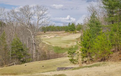 LT215 Old Toccoa Farm, Mineral Bluff, GA 30559 - photo 7