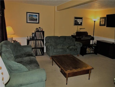 Living room has neutral carpeting and two-tone wal