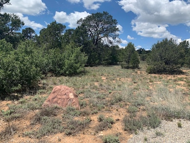 7 Nature Pointe Dr, Tijeras, NM 87059 - photo 2