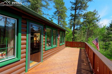 9615 Mountain Rd, Cascade, CO 80809 - photo 4