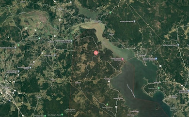 Dewberry Ct, Huntsville, TX 77320 - photo 4