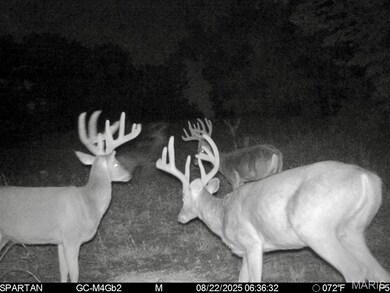 Tract 16E Bobwhite Ln, Unincorporated, MO 65452 - photo 7