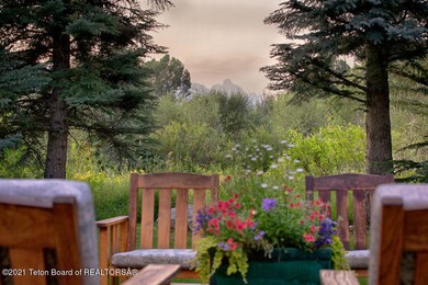 _Back Yard Grand View