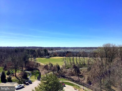 5901 Mount Eagle Dr unit 1003, Alexandria, VA 22303 - photo 7