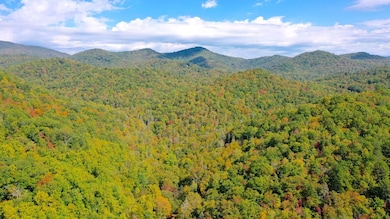 3088 Little Choga Rd, Topton, NC 28781 - photo 3