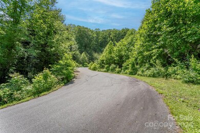 99999 Spring Creek Trail unit 9,11,12,13, Asheville, NC 28806 - photo 2