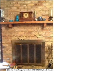 Living Room fireplace