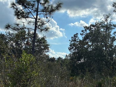 207 Plumosa Dr, Lake Wales, FL 33855 - photo 2