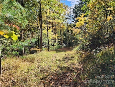 Access road leading from Thorncrest Drive