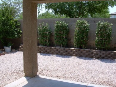 REAR YARD