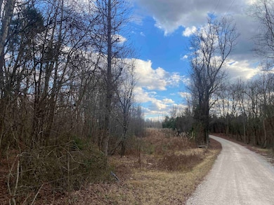 7 Hughey Talley Rd, Selmer, TN 38375 - photo 4