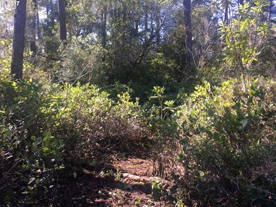 5736 Martin Rd, Florence, OR 97439 - photo 7