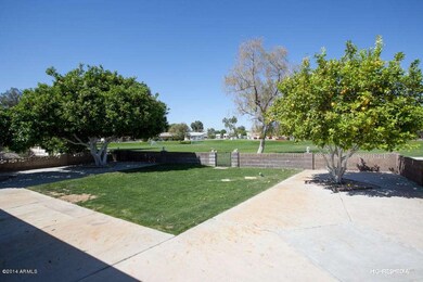 Back yard