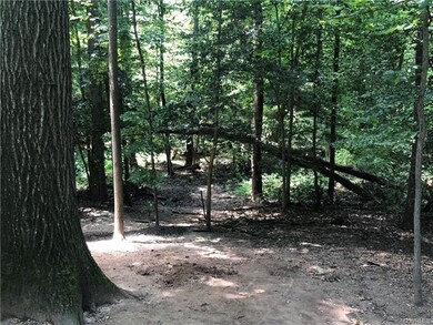 4610 Mason Run Ct, North Chesterfield, VA 23234 - photo 6