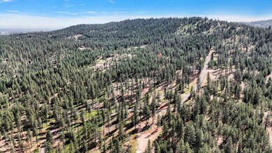 NKA Way, Deer Park, WA 99006 - photo 7