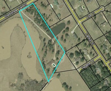 240 Old Blackshear Rd, Cordele, GA 31015 - photo 2