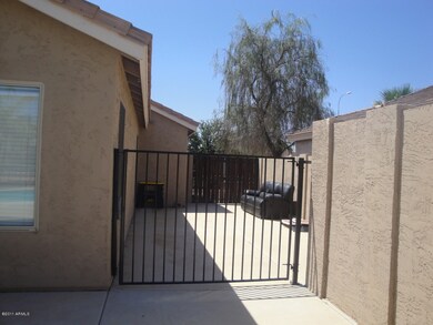 Side Yard Area