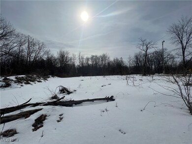 7560 N Ridge Rd, Madison, OH 44057 - photo 5