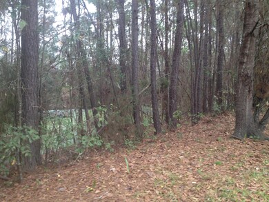 1465 Ellis Trace Dr W, Jacksonville, FL 32205 - photo 6