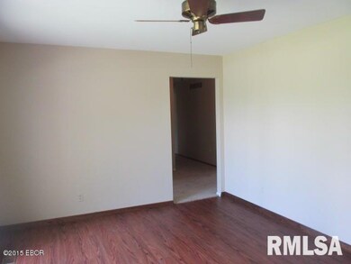 301 Saint Marys Dr, Harrisburg, IL 62946 - photo 5