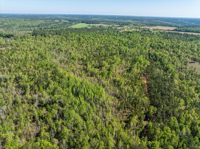 04-DJI_0638-HDR