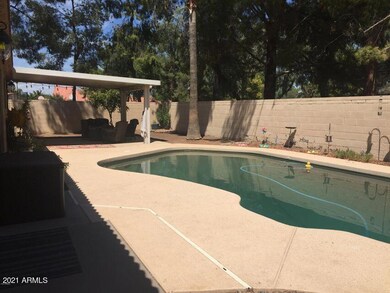rob pool