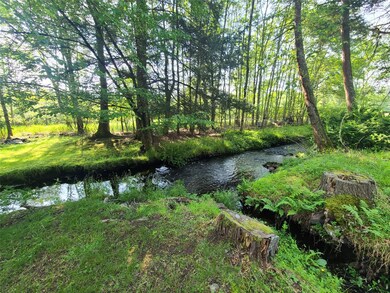 39 James Ave, Smallwood, NY 12778 - photo 4