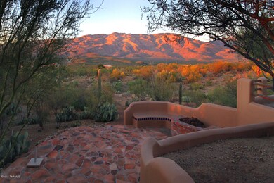 backyard view