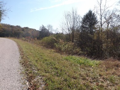 1 Stella Church Rd, Prospect, TN 38477 - photo 7