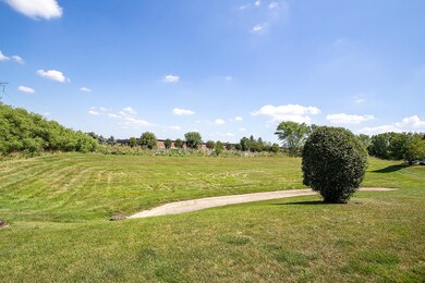 1911 Cinnamon Ct, Joliet, IL 60435 - photo 3