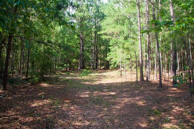 Springhill C_04
