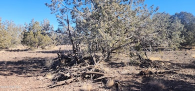 2113 W Skyline Dr, Ash Fork, AZ 86320 - photo 2