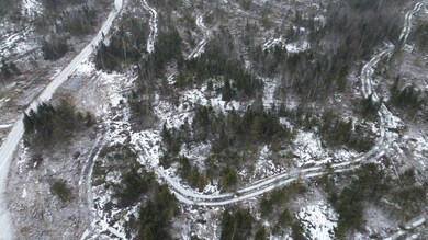 DJI_0441