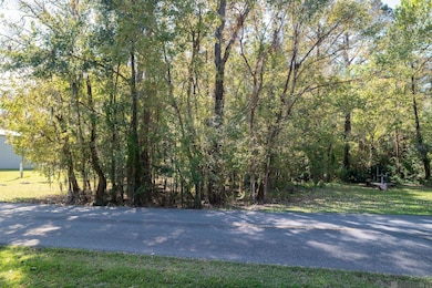 13304 Bayou Terrace Dr, Saint Amant, LA 70774 - photo 6