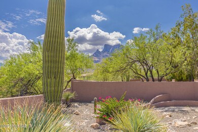 10318 N Alder Spring Dr, Tucson, AZ 85737 - photo 6