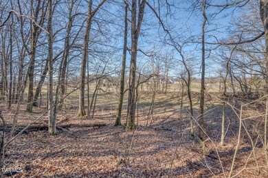 TBD Cleveland Rd Lower 6