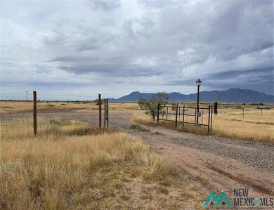 17065 Sundown Rd SE, Deming, NM 88030 - photo 3