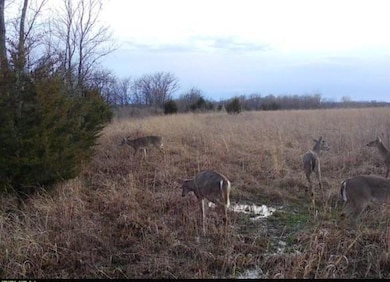 36707 Spring Valley Rd, Louisburg, KS 66053 - photo 2