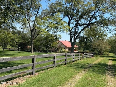 1570 Dupont Harts Chapel Rd, Poplarville, MS 39470 - photo 5