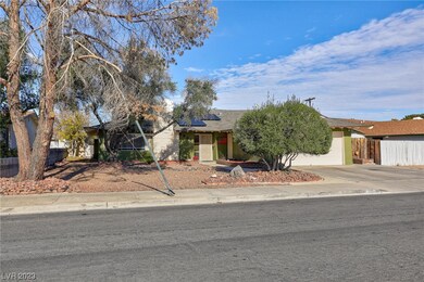Extra large front yard.