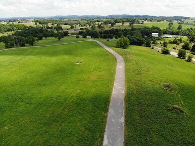 DJI_0856