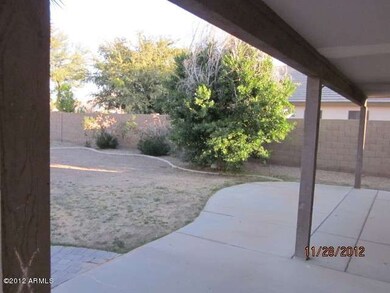Backyard (3)