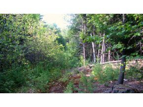 0 Merrill Dr unit 4503739, Bennington, NH 03442 - photo 3