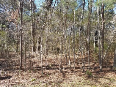 Nicely wooded property