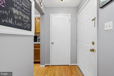 14018 Valleyfield Dr unit 8, Silver Spring, MD 20906 - photo 3