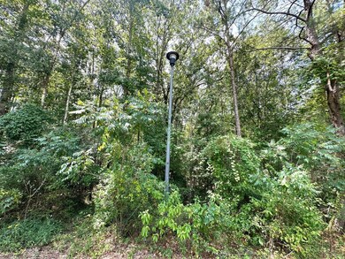 Street Lights