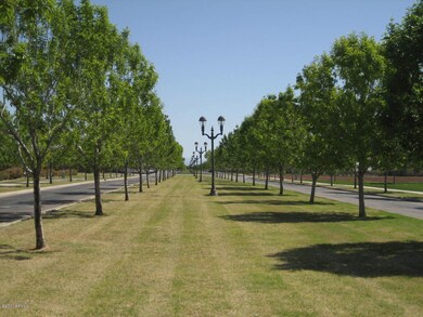 Tree lined parkway entrance