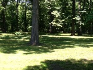 Park-like setting