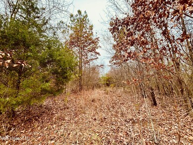 0 S Frontage Rd, Winona, MS 38967 - photo 6